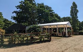 Cabin In The Forest Brockenhurst United Kingdom